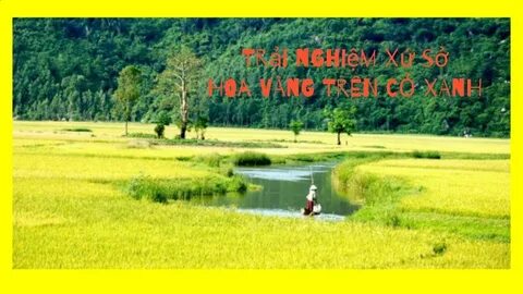 Thua đội cuối bảng vì sai lầm khó hiểu, HLV Quảng Nam nhắn tin xin từ chức_Đánh giá ma trận điểm nóng